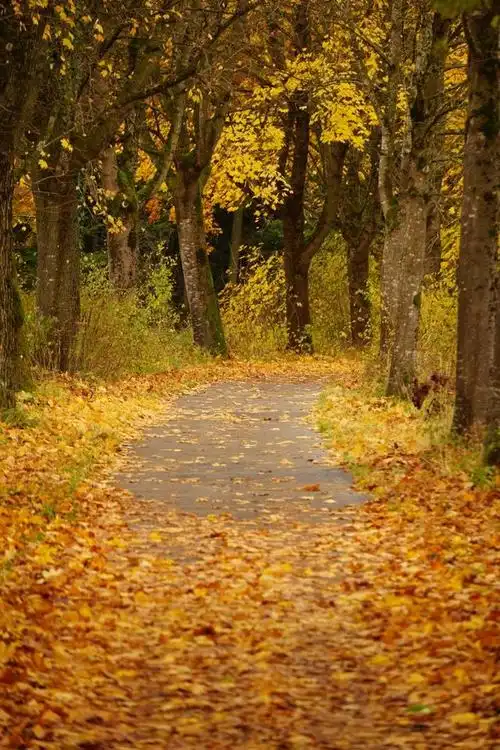 640_960竖版 竖屏