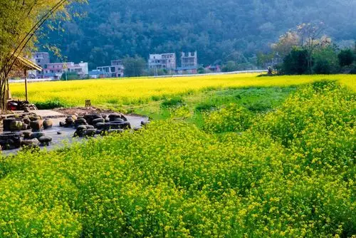 英德云水谣两天一晩游体验农村生活,观赏田园风光,带你走进水头山谷中