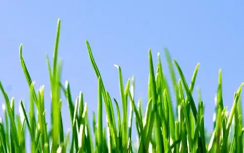 足球场的美丽景色,高清壁纸,风景图片-回车桌面