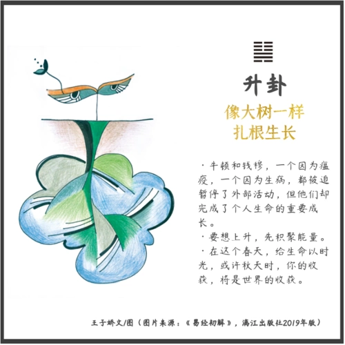 46.升卦——像大树一样扎根生长