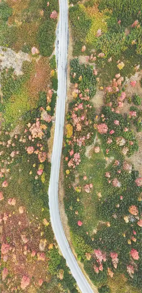 1080p蓝光竖屏壁纸图片