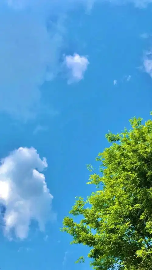 暖心治愈系早安心语文案,句句清爽干净,配好看的图片