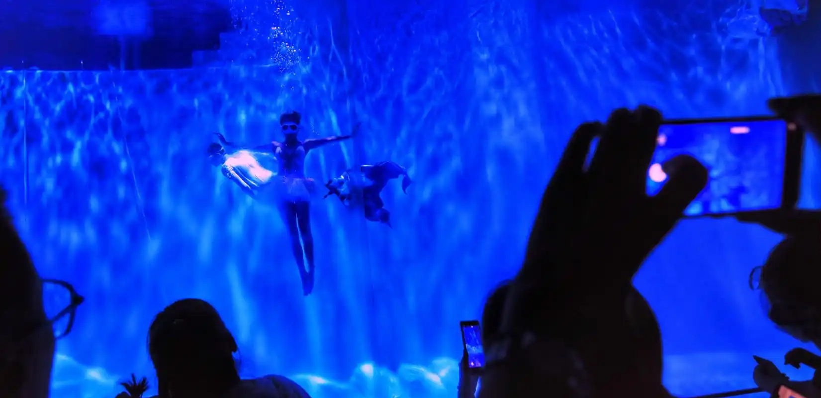 震撼首秀!哈尔滨极地公园水舞秀惊艳亮相