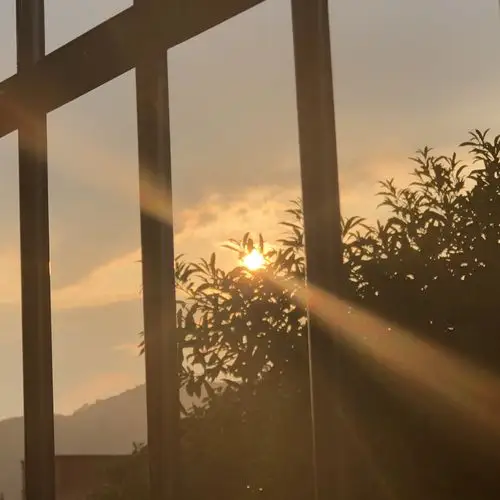 阳光透过高三(1)班的窗户照在我们身上