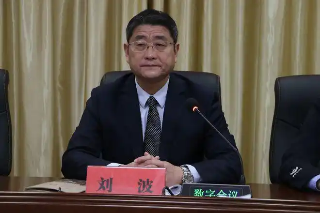 区委常委,政法委书记刘波代表峄城区政法队伍教育整顿领导小组作出