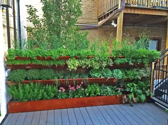 [分享]菜园变花园,太惬意了!