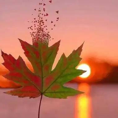 场景头像超级好看风景超级质感