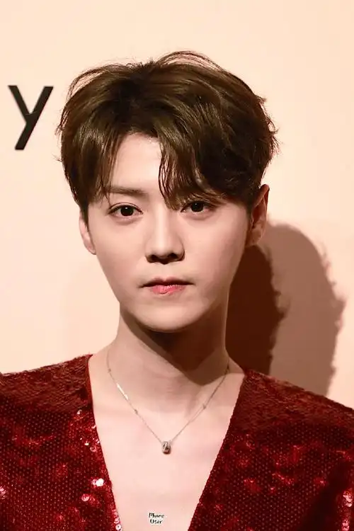 鹿晗红色亮片真空西装造型