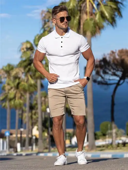 ins欧美肌肉男运动polo衫 夏季时尚拉链针织弹力透气健身短袖t恤