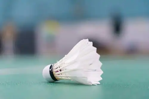 2020年度运动会—eglo"羽林争霸"羽毛球比赛