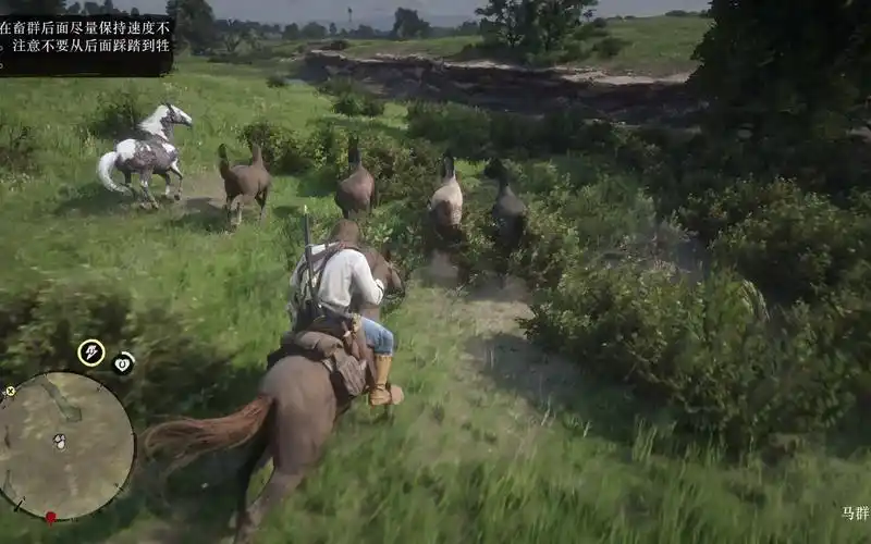 荒野大镖客2-密苏里狐步马