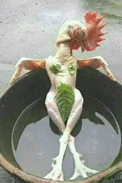 各种搞笑图片 15 / 21