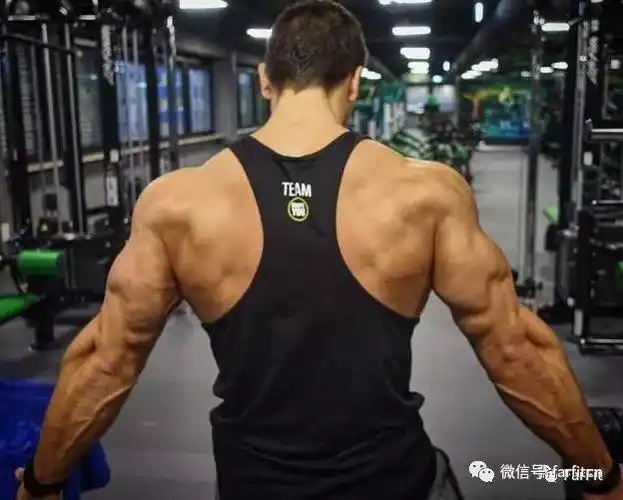 你需要一个宽背!如何打造背肌的宽度?这几招训练收好!
