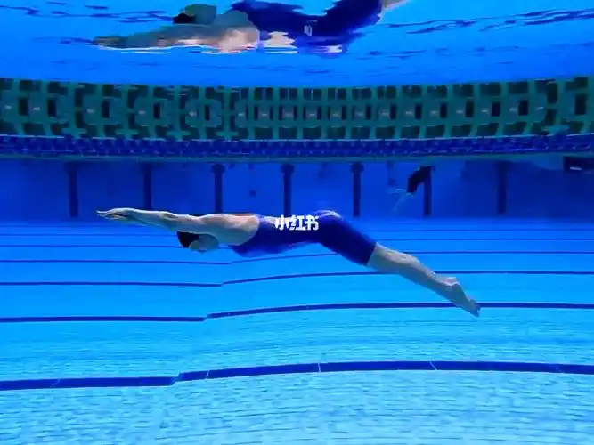 水下蝶泳腿典范