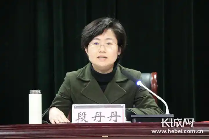 清河县人民政府副县长段丹丹讲话.