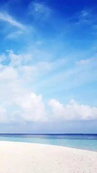 微信聊天壁纸狗