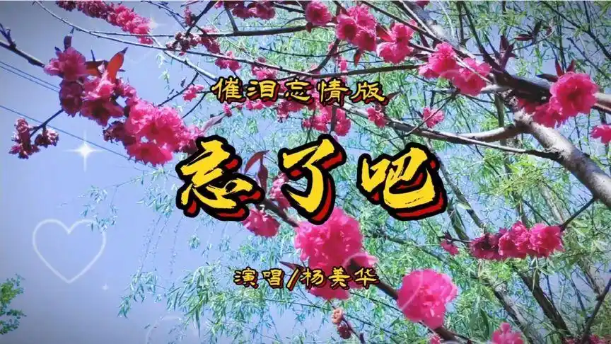 杨美华深情原唱《忘了吧》完整版,催泪歌曲,唱哭多少痴心的人-音乐