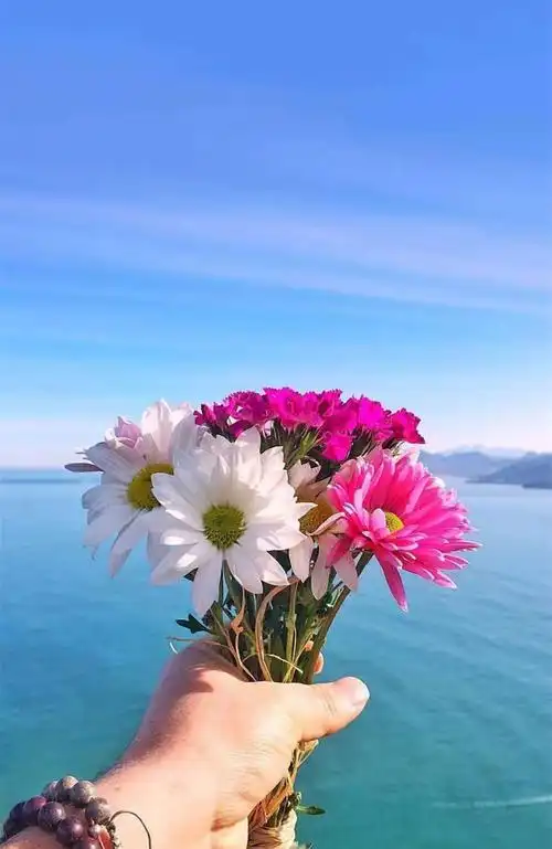 精美早安心语,温暖舒心,美好的一天从这里开始!