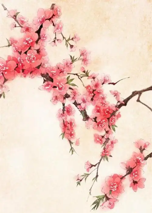 唯美古风图片桃花 半世浮华,只为你留恋