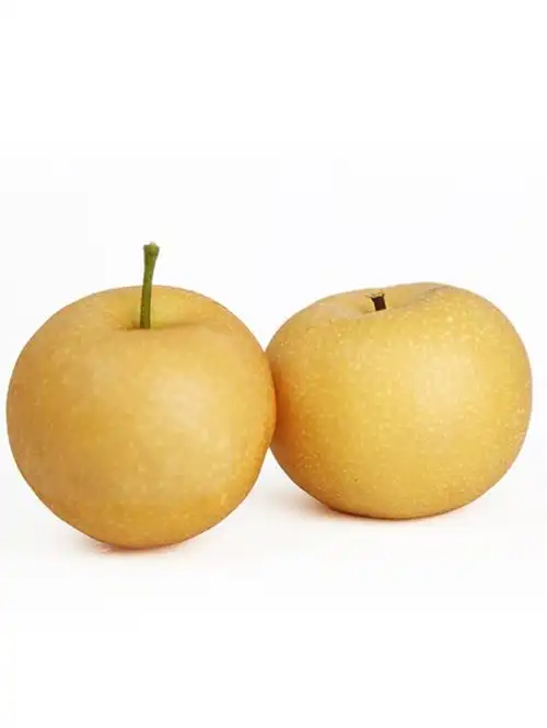 秋月梨冰糖梨蜜凤凰秋香羊脂新鲜水果9斤顺丰山东莱西特产-阿里巴巴