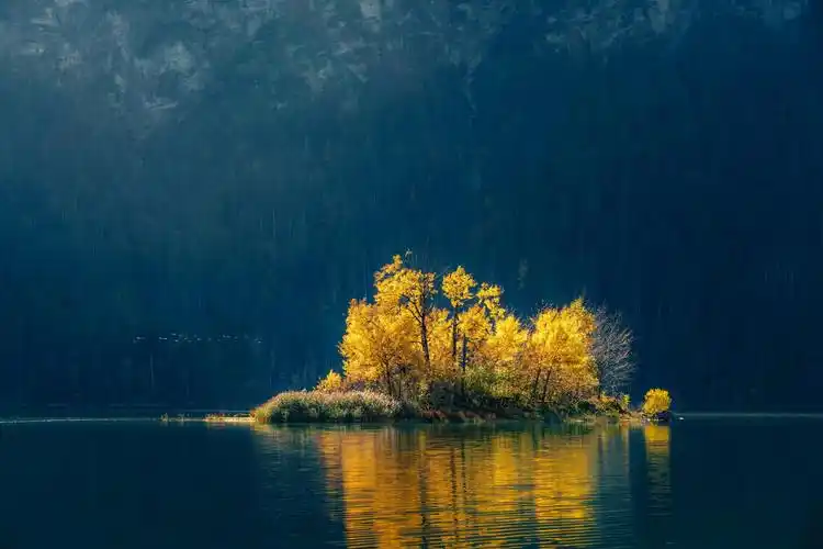 有没有清晰度超高的4k8k壁纸