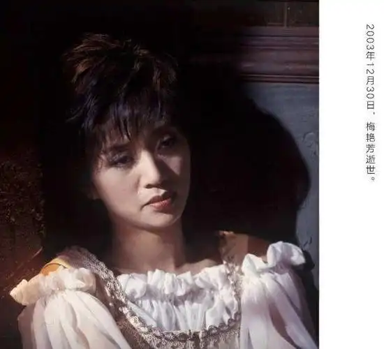 梅艳芳是穿着尿布上场的,当时梅艳芳已经是癌症晚期,身体也不收控制的