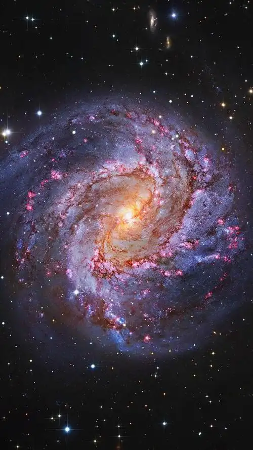 真实星空与极光 真美哭