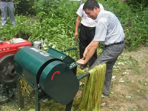 首页 成果转化 成果推广成果名称 4bm-260型苎麻剥麻机 发布日期