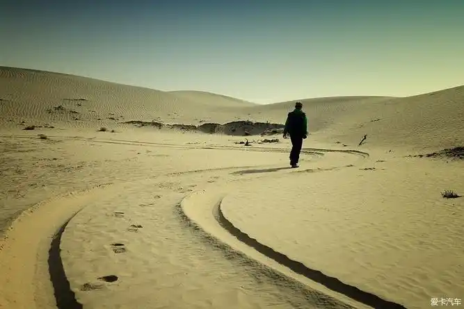 新翼虎出色旅程新疆大峡谷沙漠游