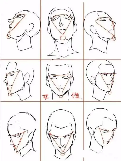 正面五官没有透视变化,所以只需找准三庭五眼的面部比例即可;五官的