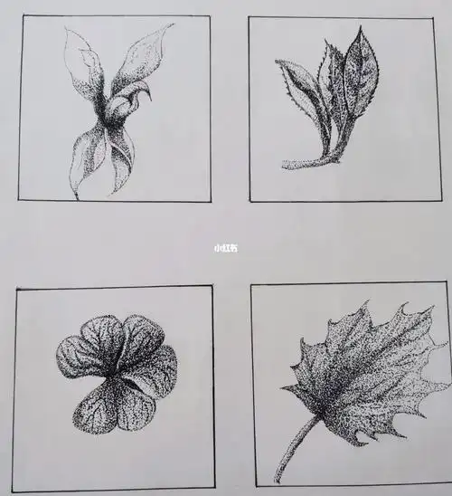 点画装饰画基础练习