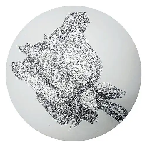 标签玫瑰手绘点绘作品信息创作时间2017/09/27创作工具钢笔添加表情