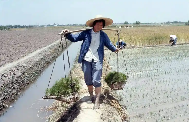 70年代怀旧老照片,一碗水饺两毛钱的年代!_中国_那一年_大学