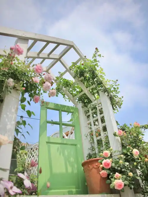 私人小花园布置避坑指南,看完尽情折腾吧!