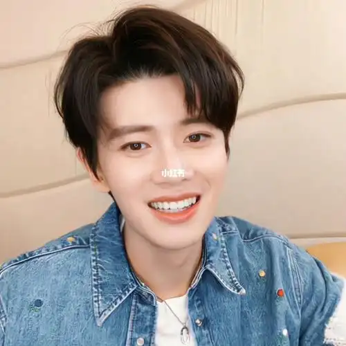 任嘉伦的卡通头像