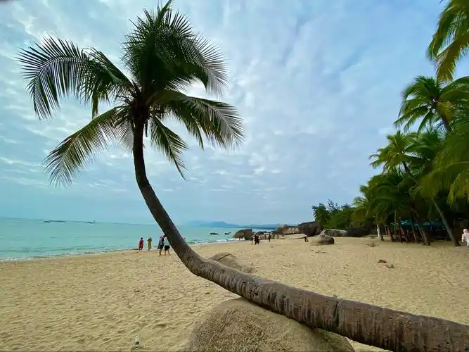 冬季三亚游 2020年12月