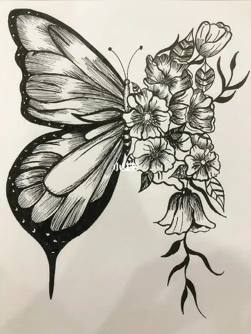 这样黑白的小蝴蝶你爱吗72