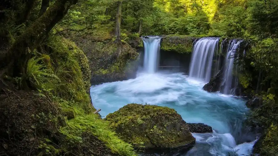 绿色清新养眼自然风景桌面壁纸