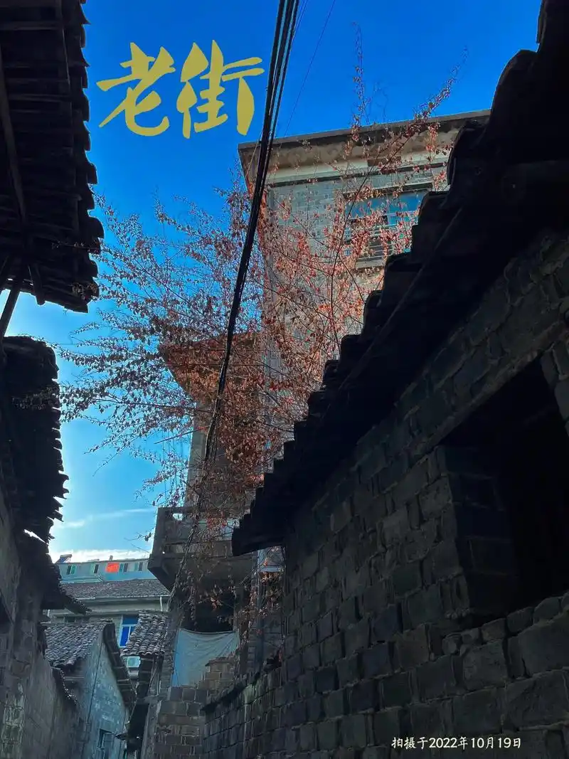 城中老街随拍|一砖一瓦藏着多少人间烟火.回来了,走一走儿时常 - 抖音