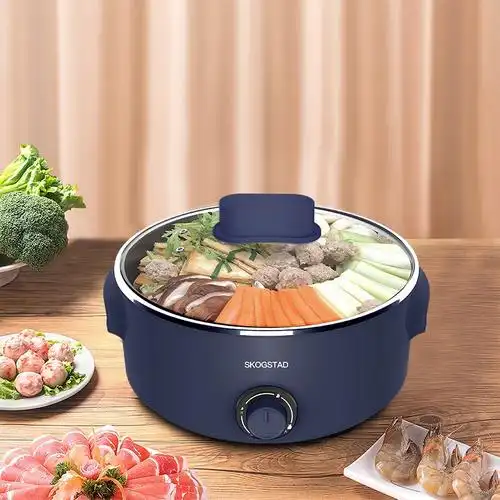 思嘉思达skogstad雅格电火锅35lskdg0020