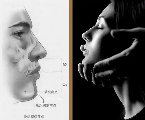 自带少女感的优雅下颌从来不只有下巴够长够翘而已