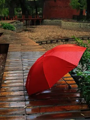 红伞