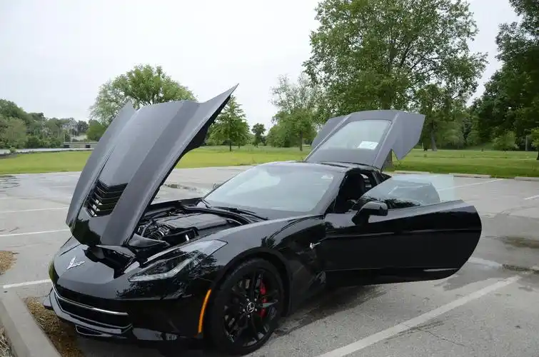 的一款车…因为大家都认识奔驰宝马保时捷gtr,道奇野马大黄蜂也还凑合