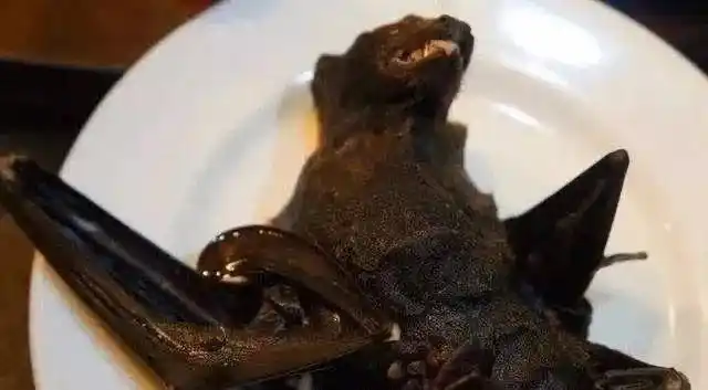 谁认识这个吃蝙蝠的女人