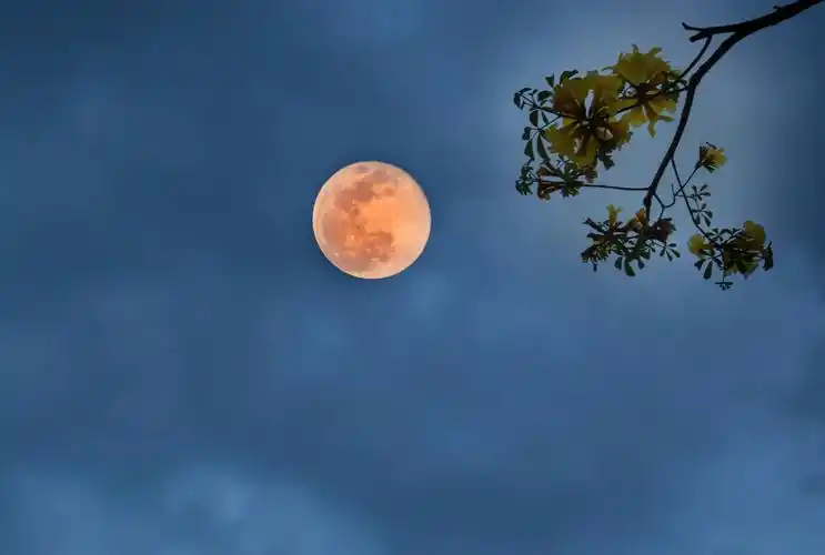 其它 【超级大月亮】 写美篇  2020年全年最大超级月亮在4月8日上演