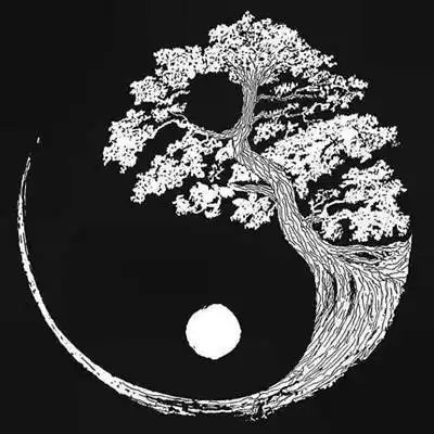 55张黑白阴阳纹身手稿素材