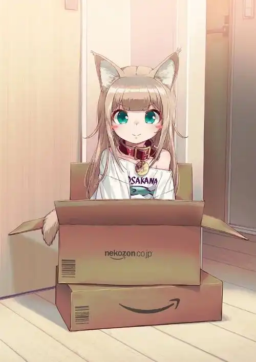 40原老师的猫娘原型kinako跟她自己周边的合影