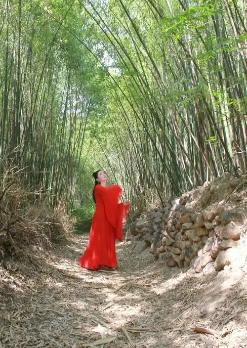 《竹林古装美女秀--贺家山》