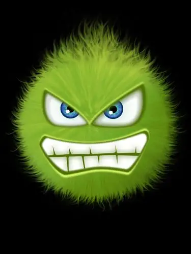 绿毛怪