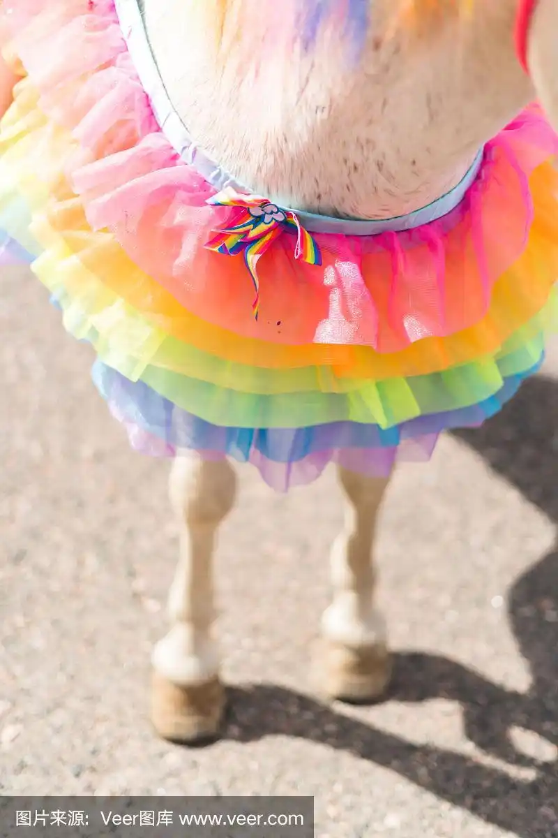 白色,独角兽,华丽的,生日,小马